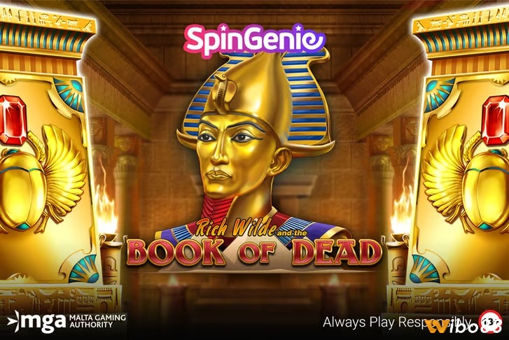 Tổng hợp các tính năng đặc biệt giúp nhân thưởng lớn trong Book of Dead