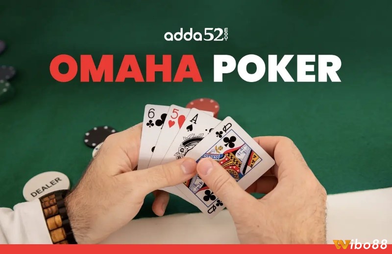 Hướng dẫn chơi bài xì tố Omaha